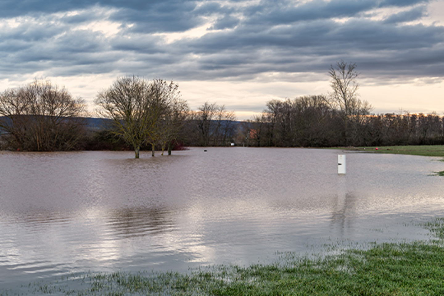 Neptune Flood Portrait 3 flooded field