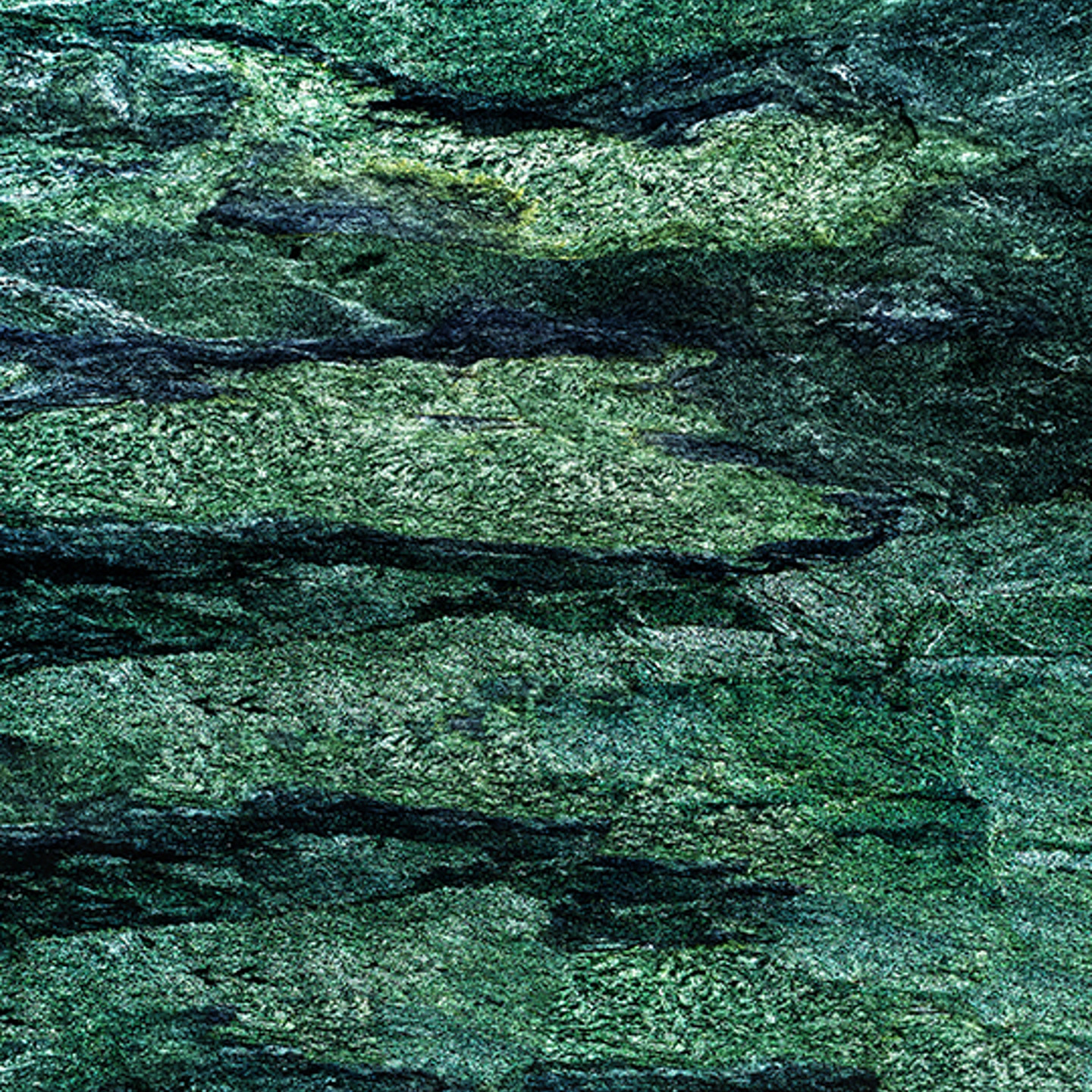 rock detail image